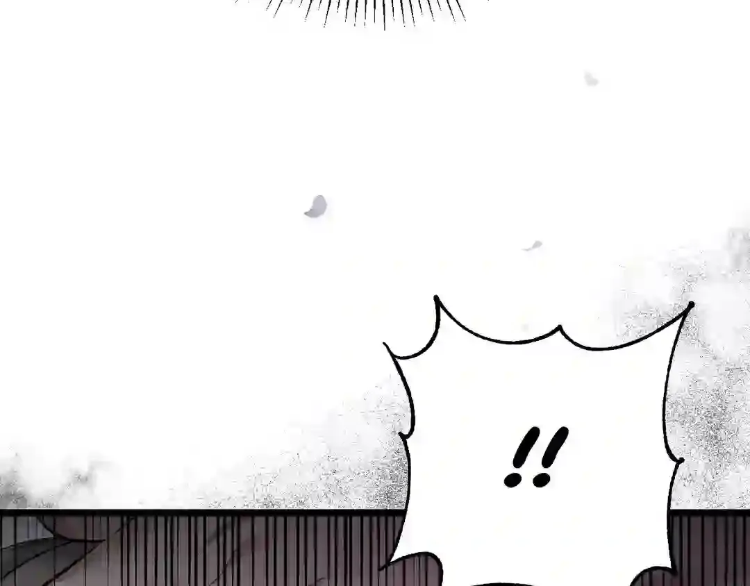 Page 204