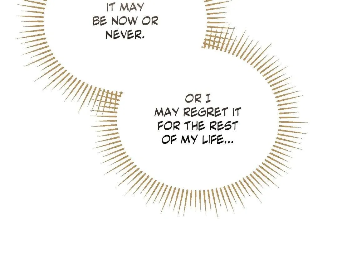 Page 241