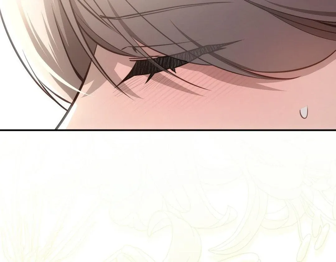 Page 244