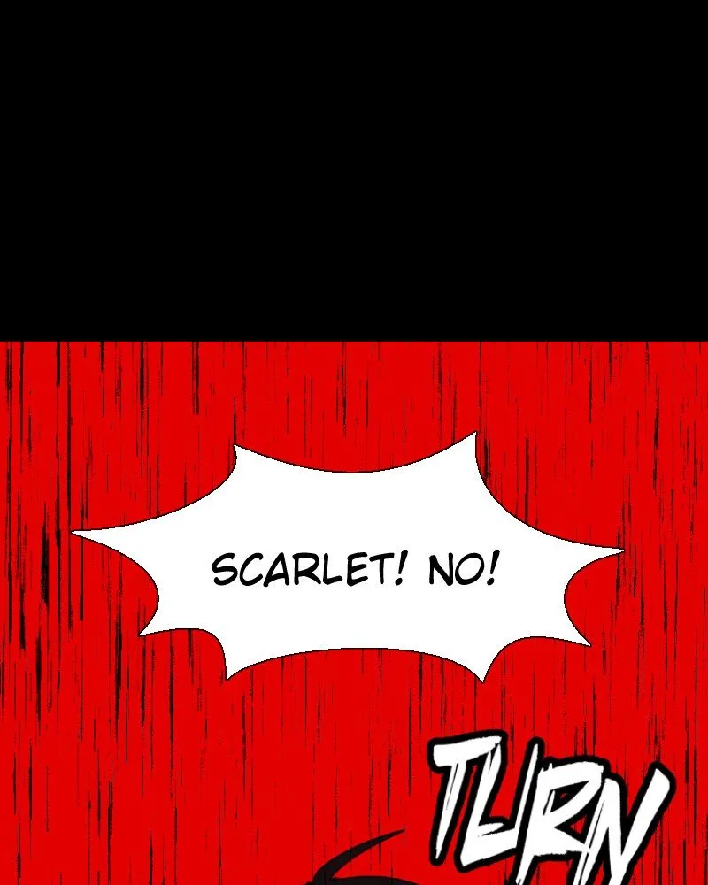 Page 215